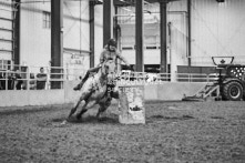 Equine Photography from horse events at the 174th Ancaster fair on September 20th of 2024.