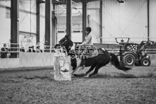 Equine Photography from horse events at the 174th Ancaster fair on September 20th of 2024.