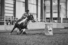 Equine Photography from horse events at the 174th Ancaster fair on September 20th of 2024.