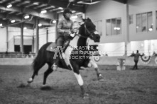 Equine Photography from horse events at the 174th Ancaster fair on September 20th of 2024.