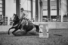 Equine Photography from horse events at the 174th Ancaster fair on September 20th of 2024.