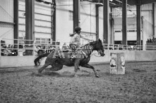 Equine Photography from horse events at the 174th Ancaster fair on September 20th of 2024.