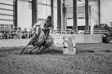 Equine Photography from horse events at the 174th Ancaster fair on September 20th of 2024.