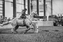 Equine Photography from horse events at the 174th Ancaster fair on September 20th of 2024.