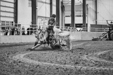 Equine Photography from horse events at the 174th Ancaster fair on September 20th of 2024.