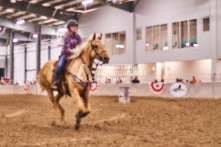 Equine Photography from horse events at the 174th Ancaster fair on September 20th of 2024.