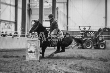 Equine Photography from horse events at the 174th Ancaster fair on September 20th of 2024.