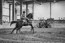 Equine Photography from horse events at the 174th Ancaster fair on September 20th of 2024.