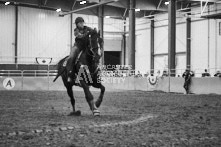 Equine Photography from horse events at the 174th Ancaster fair on September 20th of 2024.