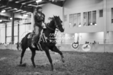 Equine Photography from horse events at the 174th Ancaster fair on September 20th of 2024.