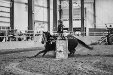 Equine Photography from horse events at the 174th Ancaster fair on September 20th of 2024.