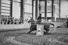 Equine Photography from horse events at the 174th Ancaster fair on September 20th of 2024.