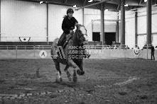 Equine Photography from horse events at the 174th Ancaster fair on September 20th of 2024.