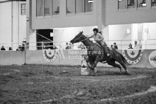 Equine Photography from horse events at the 174th Ancaster fair on September 20th of 2024.