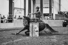 Equine Photography from horse events at the 174th Ancaster fair on September 20th of 2024.