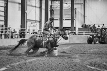 Equine Photography from horse events at the 174th Ancaster fair on September 20th of 2024.