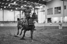 Equine Photography from horse events at the 174th Ancaster fair on September 20th of 2024.