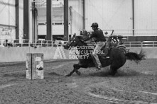 Equine Photography from horse events at the 174th Ancaster fair on September 20th of 2024.