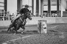 Equine Photography from horse events at the 174th Ancaster fair on September 20th of 2024.