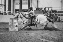 Equine Photography from horse events at the 174th Ancaster fair on September 20th of 2024.