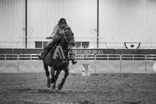 Equine Photography from horse events at the 174th Ancaster fair on September 20th of 2024.