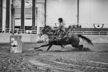 Equine Photography from horse events at the 174th Ancaster fair on September 20th of 2024.