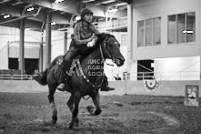 Equine Photography from horse events at the 174th Ancaster fair on September 20th of 2024.