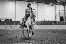 Equine Photography from horse events at the 174th Ancaster fair on September 20th of 2024.