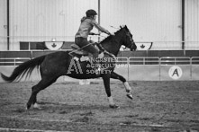 Equine Photography from horse events at the 174th Ancaster fair on September 20th of 2024.