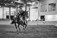 Equine Photography from horse events at the 174th Ancaster fair on September 20th of 2024.