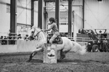 Equine Photography from horse events at the 174th Ancaster fair on September 20th of 2024.