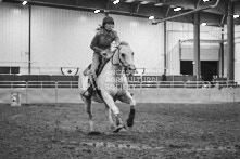 Equine Photography from horse events at the 174th Ancaster fair on September 20th of 2024.