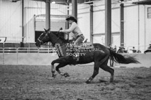 Equine Photography from horse events at the 174th Ancaster fair on September 20th of 2024.