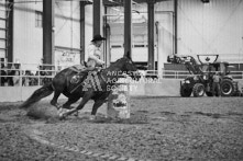 Equine Photography from horse events at the 174th Ancaster fair on September 20th of 2024.