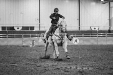 Equine Photography from horse events at the 174th Ancaster fair on September 20th of 2024.