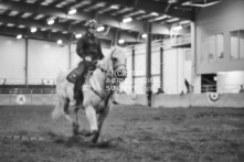 Equine Photography from horse events at the 174th Ancaster fair on September 20th of 2024.