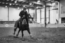 Equine Photography from horse events at the 174th Ancaster fair on September 20th of 2024.