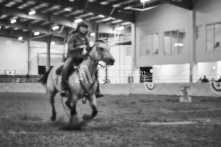 Equine Photography from horse events at the 174th Ancaster fair on September 20th of 2024.