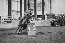 Equine Photography from horse events at the 174th Ancaster fair on September 20th of 2024.