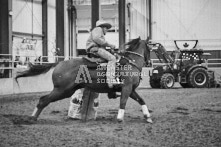 Equine Photography from horse events at the 174th Ancaster fair on September 20th of 2024.