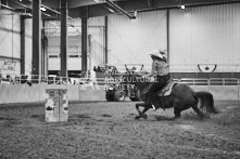 Equine Photography from horse events at the 174th Ancaster fair on September 20th of 2024.