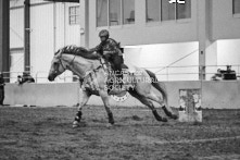 Equine Photography from horse events at the 174th Ancaster fair on September 20th of 2024.