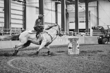 Equine Photography from horse events at the 174th Ancaster fair on September 20th of 2024.