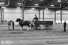 Ancaster Fair 2024 Opening Night Photos available via Pete's Photography, Ontario, Canada