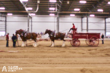 Ancaster Fair 2024 Opening Night Photos available via Pete's Photography, Ontario, Canada