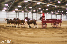 Ancaster Fair 2024 Opening Night Photos available via Pete's Photography, Ontario, Canada