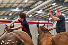 Ancaster Fair 2024 Opening Night Photos available via Pete's Photography, Ontario, Canada