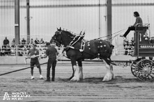 Ancaster Fair 2024 Opening Night Photos available via Pete's Photography, Ontario, Canada