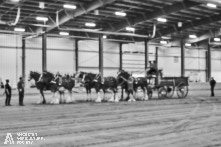 Ancaster Fair 2024 Opening Night Photos available via Pete's Photography, Ontario, Canada