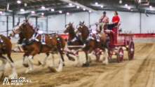 Ancaster Fair 2024 Opening Night Photos available via Pete's Photography, Ontario, Canada